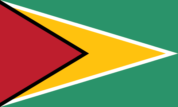 Guyanská vlajka