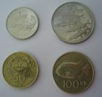 Islandská koruna