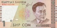 Kyrgyzský som