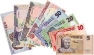 Nigerijská naira