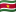 Surinamská vlajka