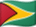 Guyanská vlajka