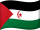 Vlajka Saharské arabské demokratické republiky