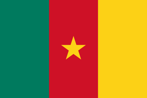 Vlajka: Kamerun